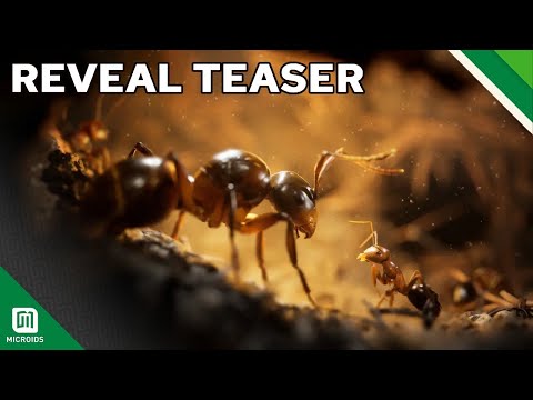 Empire of the Ants - Reveal Teaser Trailer