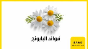 فوائد البابونج