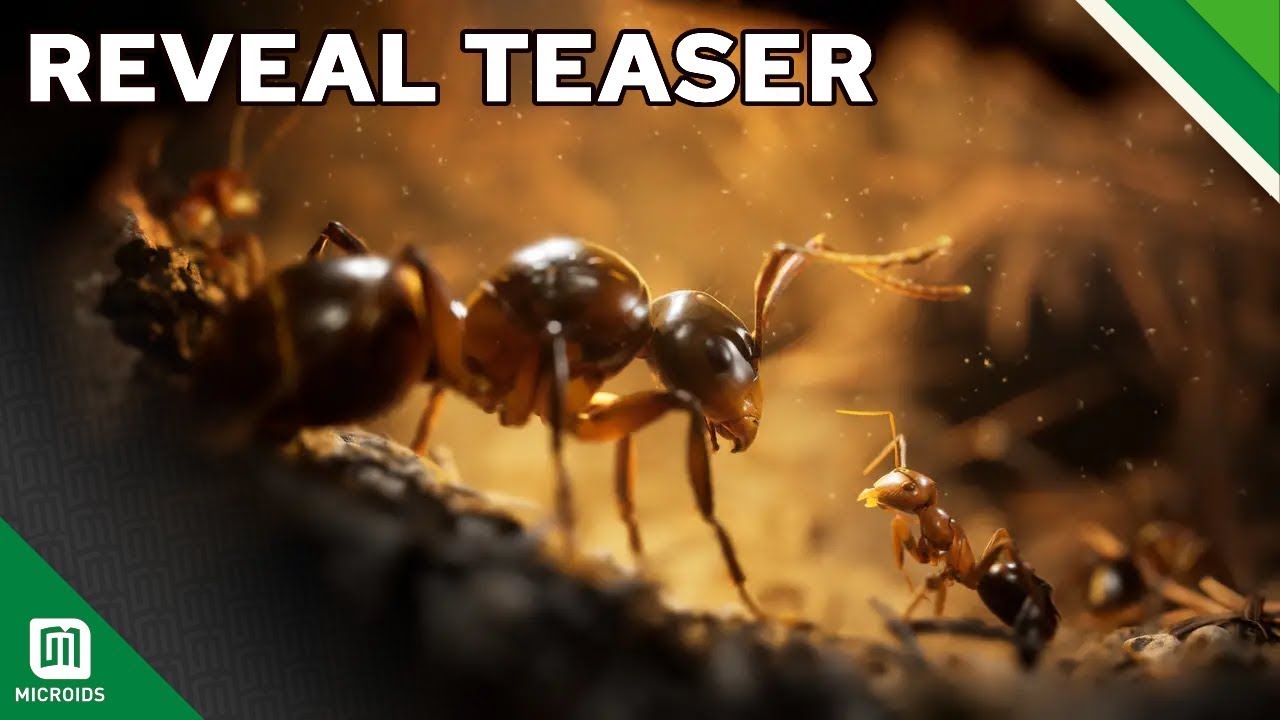 لعبة النملة