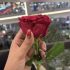 فلاتر سناب شات